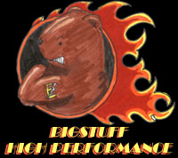 Team Bigstuff Projects